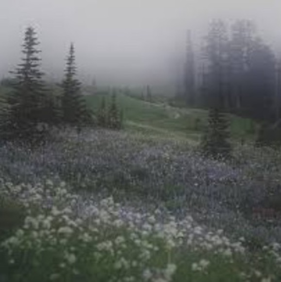 Meet your Posher, Emmalyne - Picture 1 of 1